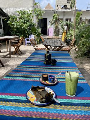 Outdoor garden at Suculenta in Tulum