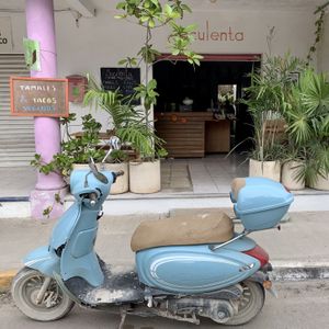   at Suculenta in Tulum