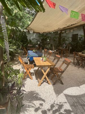 Outside area  at Suculenta in Tulum