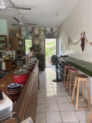 Inside  at Suculenta in Tulum