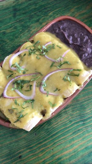 Pedí unas enchiladas y he probado 3 tamales diferentes y todo está exquisito. Plus tienen un jardín lindo donde tienen mesas para comer  at Suculenta in Tulum