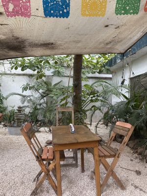   at Suculenta in Tulum