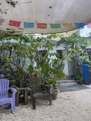   at Suculenta in Tulum