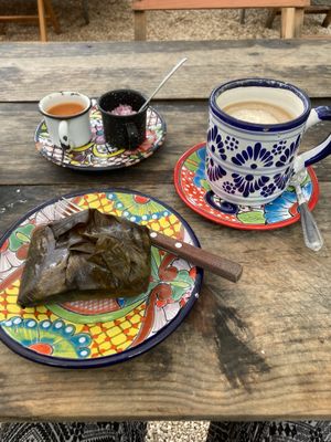   at Suculenta in Tulum