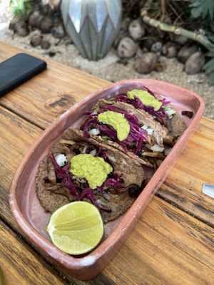 Tacos  at Suculenta in Tulum