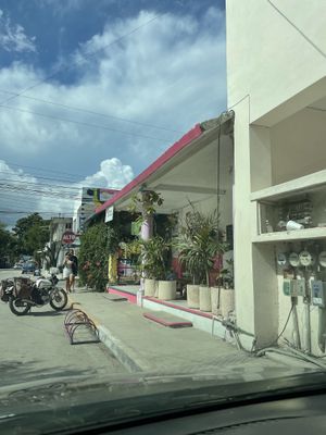 Front of restaurant   at Suculenta in Tulum