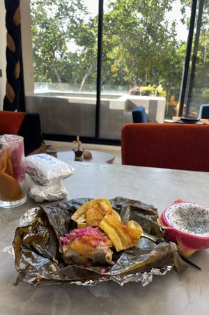 Took these babies home with me   at Suculenta in Tulum