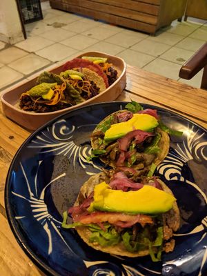 Tacos vegano y tostadas at Suculenta in Tulum