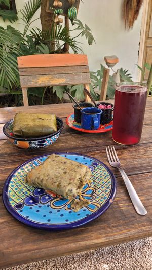  at Suculenta in Tulum