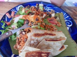  at Suculenta in Tulum