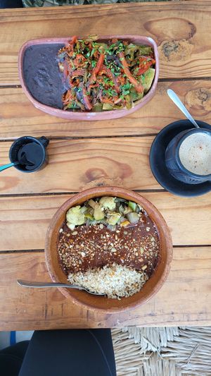 Mole, Rice & Vegetables and Chilaquiles at Suculenta in Tulum