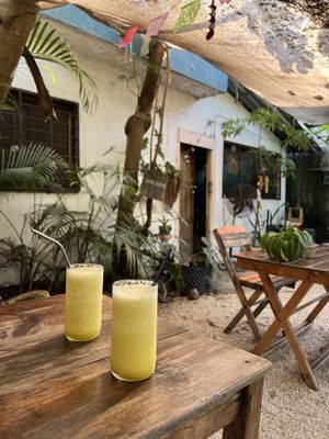   at Suculenta in Tulum