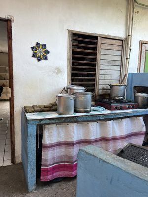   at Suculenta in Tulum