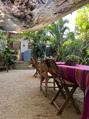   at Suculenta in Tulum