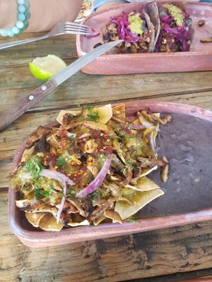  at Suculenta in Tulum