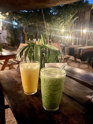   at Suculenta in Tulum