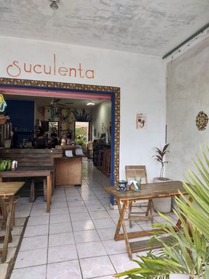  at Suculenta in Tulum