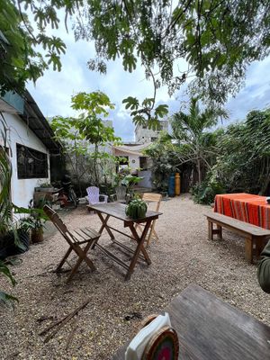  at Suculenta in Tulum