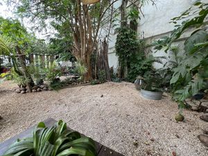  at Suculenta in Tulum