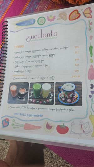 Menu at Suculenta in Tulum