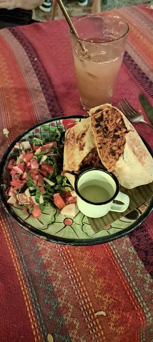Burrito con ensalada e fruit water de tamarindo at Suculenta in Tulum