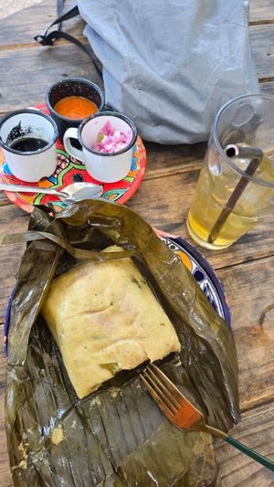 Tamale a Papadzul at Suculenta in Tulum