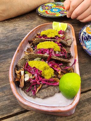Stunning mushroom tacos at Suculenta in Tulum