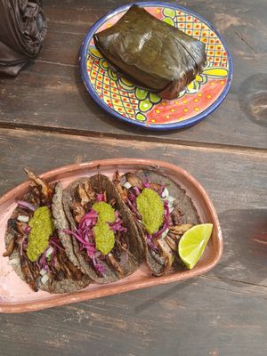  at Suculenta in Tulum