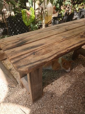  at Suculenta in Tulum