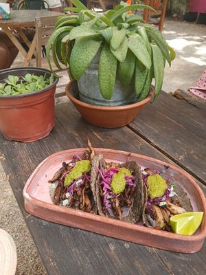  at Suculenta in Tulum