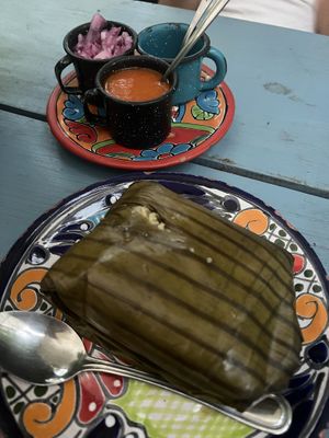   at Suculenta in Tulum