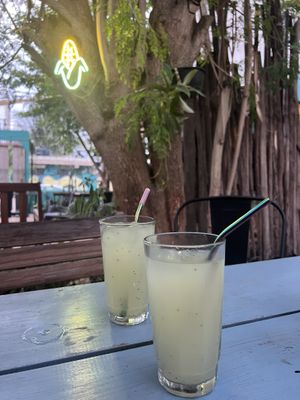   at Suculenta in Tulum