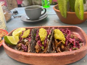 Mushroom tacos  at Suculenta in Tulum