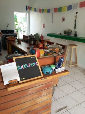 Restaurant front  at Suculenta in Tulum