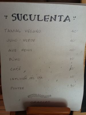 Menu  at Suculenta in Tulum