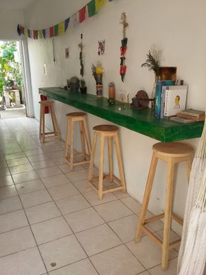Bar table  at Suculenta in Tulum