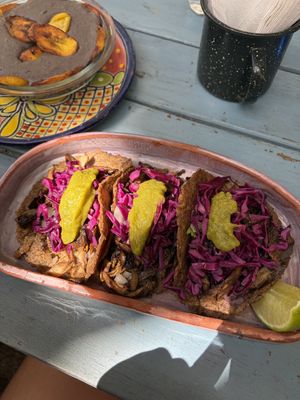   at Suculenta in Tulum