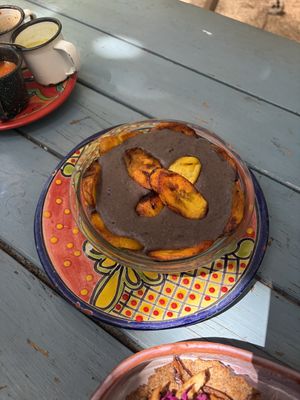   at Suculenta in Tulum