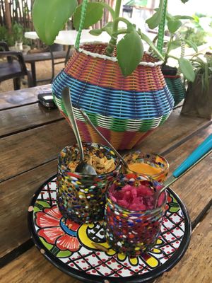 Salsa at Suculenta in Tulum