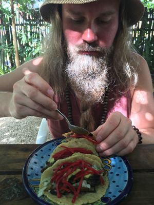 Taco at Suculenta in Tulum