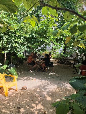 Wonderful food and amazing garden. at Suculenta in Tulum