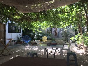 Backyard   at Suculenta in Tulum