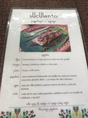 Menu page 1 at Suculenta in Tulum