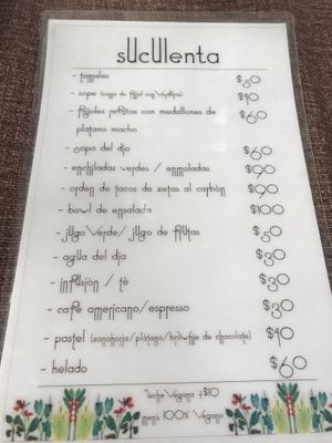 Menu page 2 at Suculenta in Tulum