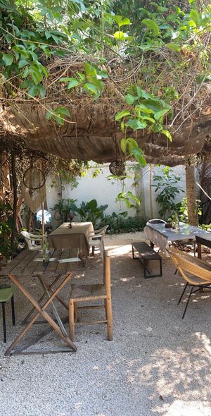 Simple & super cute place at Suculenta in Tulum