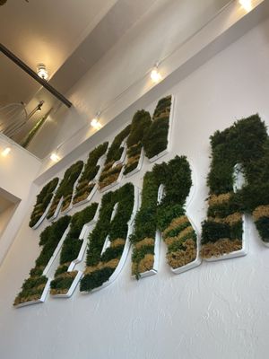 Atmosphere  at Green Zebra Cafe in Sarasota