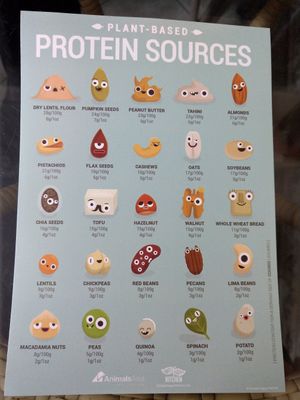  at Bao An Vegan (formerly Vegan Banhmi) in Hanoi