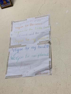   at Bao An Vegan (formerly Vegan Banhmi) in Hanoi