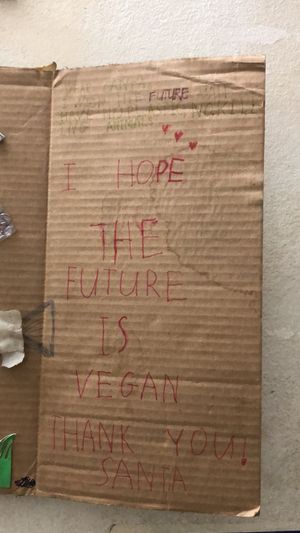   at Bao An Vegan (formerly Vegan Banhmi) in Hanoi