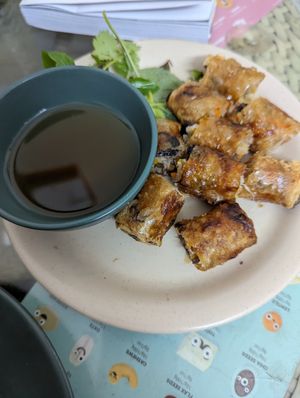 Spring rolls at Bao An Vegan (formerly Vegan Banhmi) in Hanoi